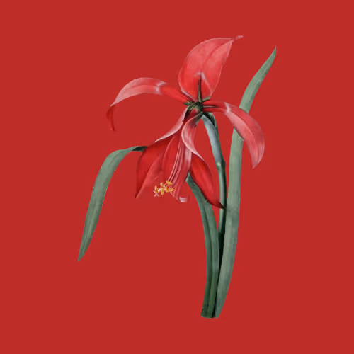 Item #11345277294321805490950982682706921649721953038596019142075108511480713052161 Media