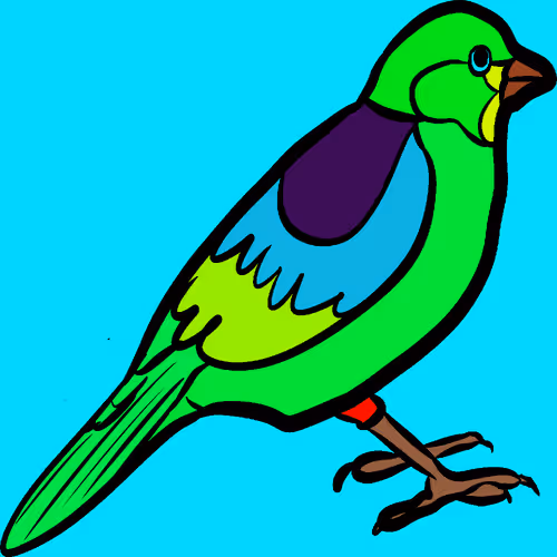 Item #73447380872143897429432948550338388366819391852985557588663186630876862611457 Media