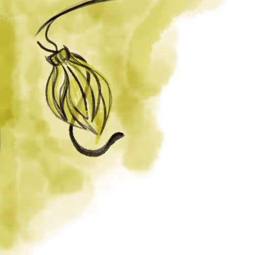 Item #17873194154754890078666107934277826582676050481033143998434847124365357613057 Media