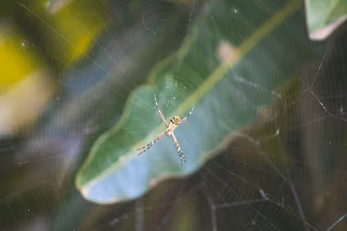 Item #39839674227890189700026510559973847228858088211999219284727999999451034812417 Media