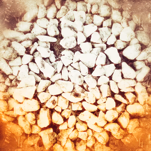 Item #49188710718413262446425824596964854565025683222927729162195606666344826667009 Media