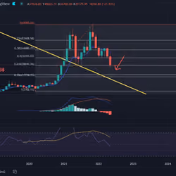 BTC = 19798