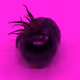 110692649264369377071495627220392981109400302920527361961030166689871369863169