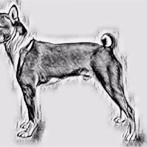 Item #23143313246472061328071561115701105421589606567298838424350448130245871534081 Media