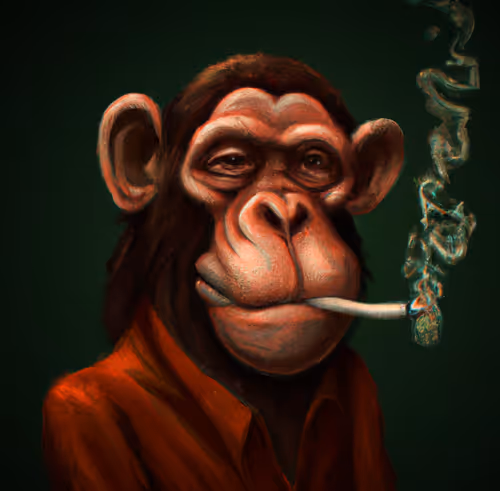 Item #34636386636853914661074798514609027550545114849797642303607475223104562659329 Media