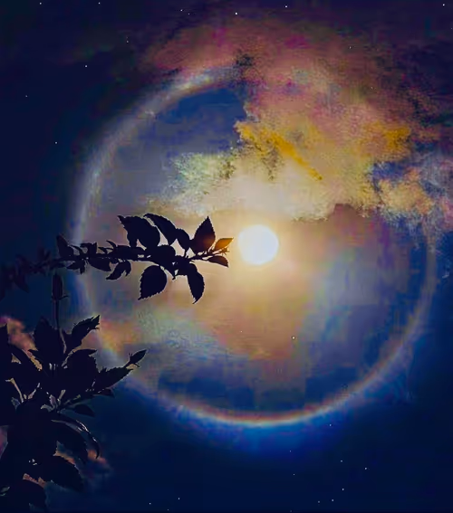 Item #103885025886889579792997648769749987524865297956163069988975955008145323982849 Media