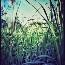 3787080761074609709675817509753112159059746763483256848434353732618756816897