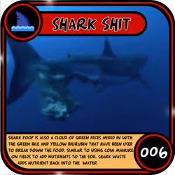Big Shit #006