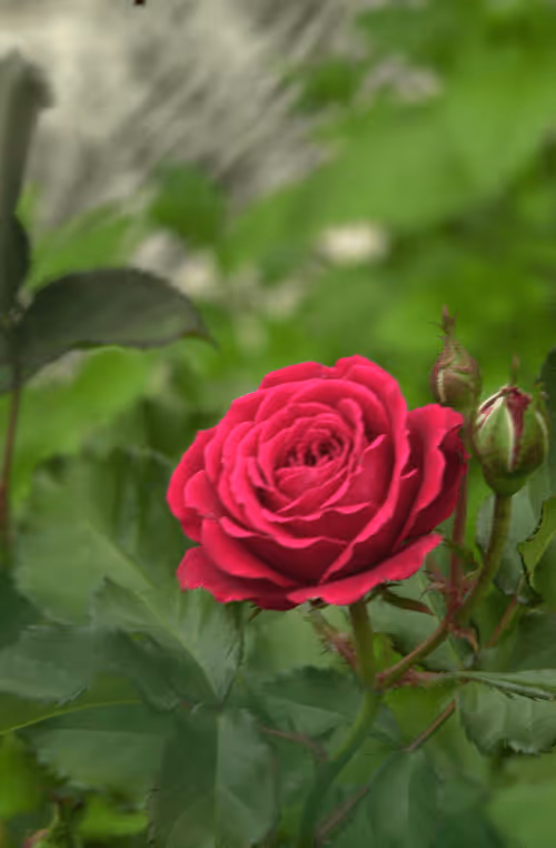 Item #56943947837122673731930897750220814689639948529564795848618456956156793323521 Media