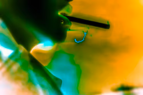 Item #74124234001314812983711764117693402131763852955807667992430597453760411205634 Media