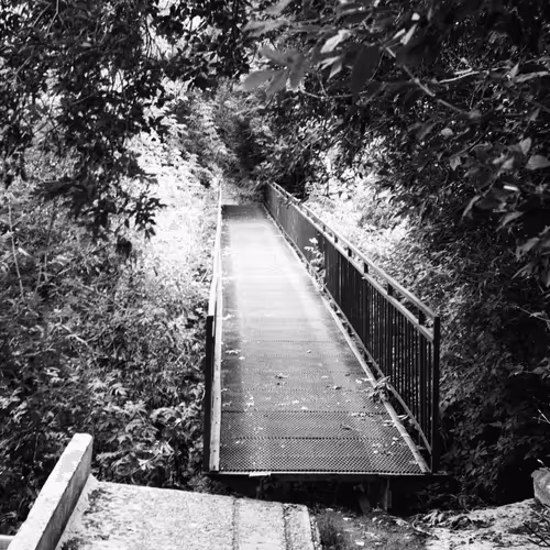 Item #34811634924862855090105769671786307071201187759740501250683185477134216855553 Media