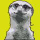 16996478281199167381573124688071675122411291874316634903140509328216942444545
