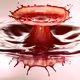 110796409830888733246172112214024682046224635394592269567076333796934247514122
