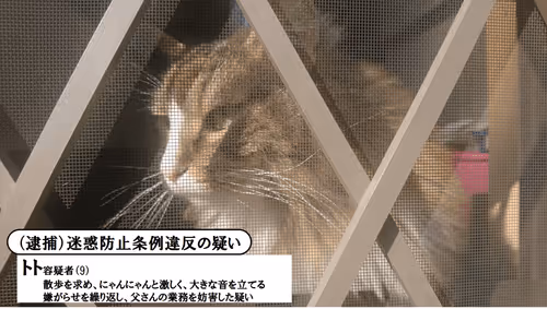 Item #88680272721371285934501562988049178859599418492822572919113237428975775514625 Media