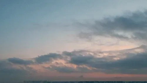 Item #54545336870129037164307986437789858251348704753246412266065009455855319384065 Media