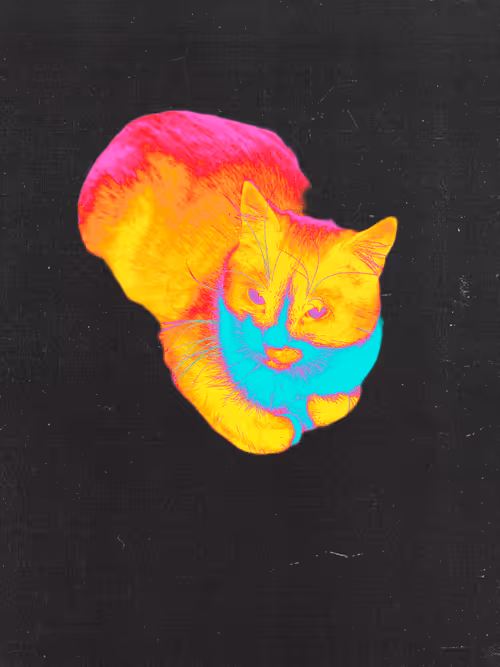 Item #102650025238985064889532626323507420633017859616961165632132730537843896614913 Media