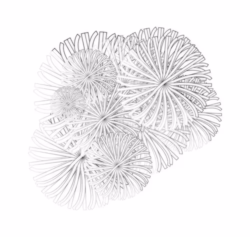 Item #113019650372937085562714205815684762417751518732997168975747480077062578896897 Media