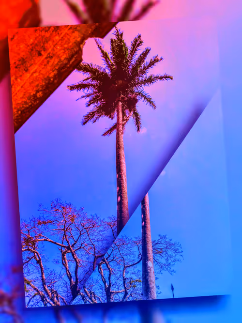 Item #102633933569336305763836549271015011022776893366332933197848722666451531464714 Media