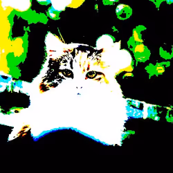 23538819986925566434507765811444276093104658907602947149672917154691440181249