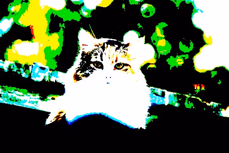 23538819986925566434507765811444276093104658907602947149672917154691440181249