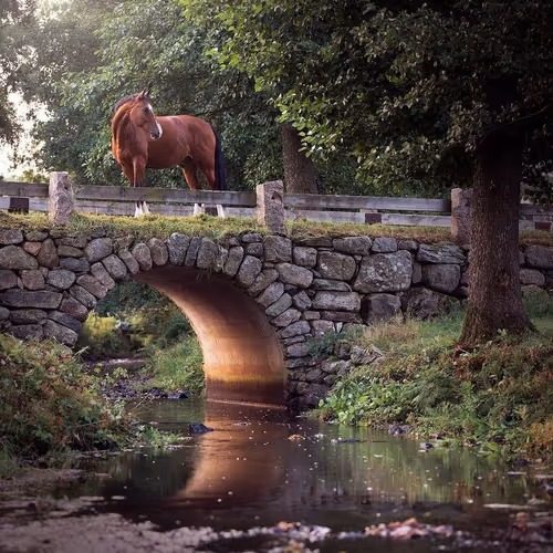 2468119463308914702005443652102614178506533567319377457804557042753873117185