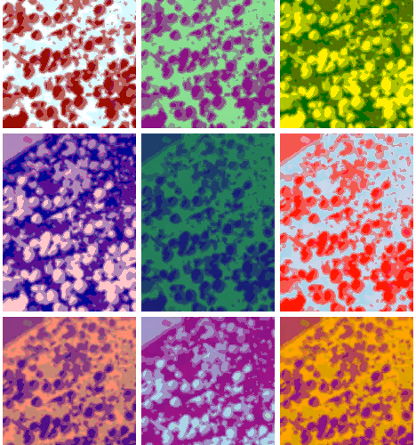 16367176991632248916148432598076694427121732422208099422090177432017788993537