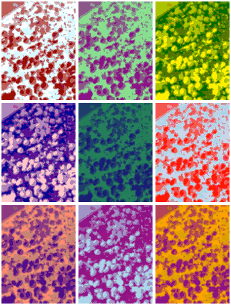 Item #16367176991632248916148432598076694427121732422208099422090177432017788993537 Media