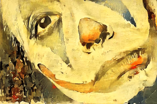 Item #72196410281126263544029265823589338379295472346987471501511287078259785728001 Media