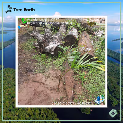 Item #8500196597889277390194123329501889087166328879864934763448349349282872033281 Media