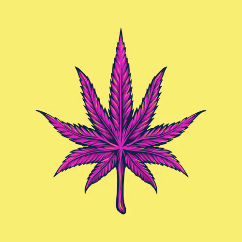 Crypto Nugzz