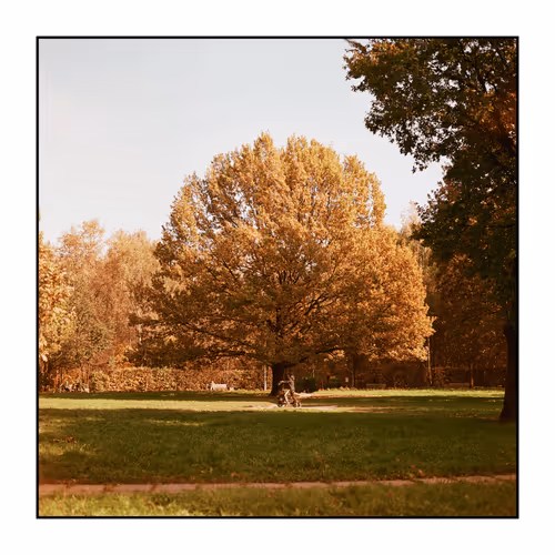 Untitled Collection #211738523