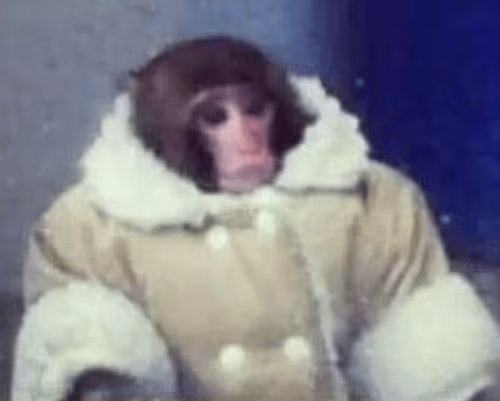 Item #98404222102123426260948593143866582448311353947226092542194126086488994086913 Media