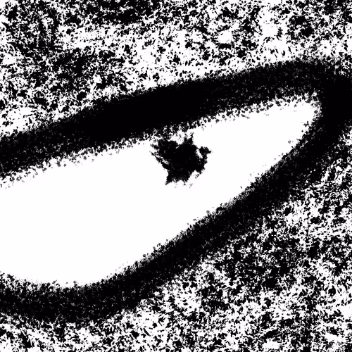 Paralysistorpor