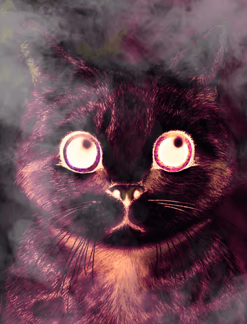 Item #56621992303262747893271366005093707345711101762340673219461019458577991991297 Media