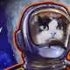 12175127253550342752703268159570310035699112867869496977456700583284182089828
