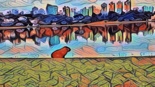 Untitled Collection #370893923