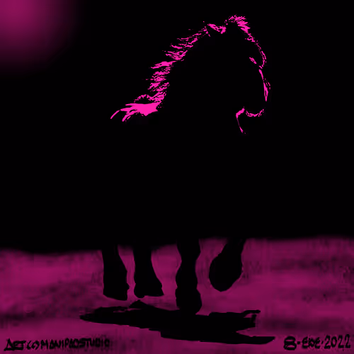 Item #95780963317919519903994809688998092411216544583021406112044703766579616153601 Media