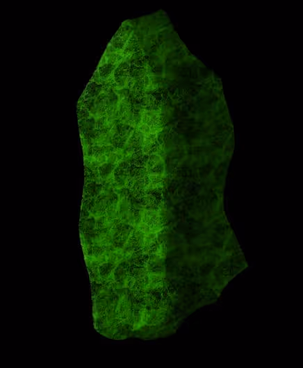 Item #97667747305328880677719999642930270019019806513031101726286666944437993603073 Media