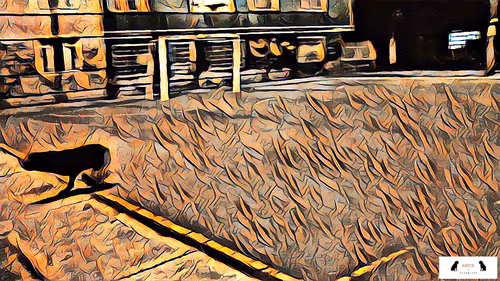 Item #10567450016853403337930259676618451783682953632793231315200837919589525356545 Media