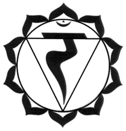 Item #11875109629491563506747383260057044305196703305162197155771295438143525748746 Media