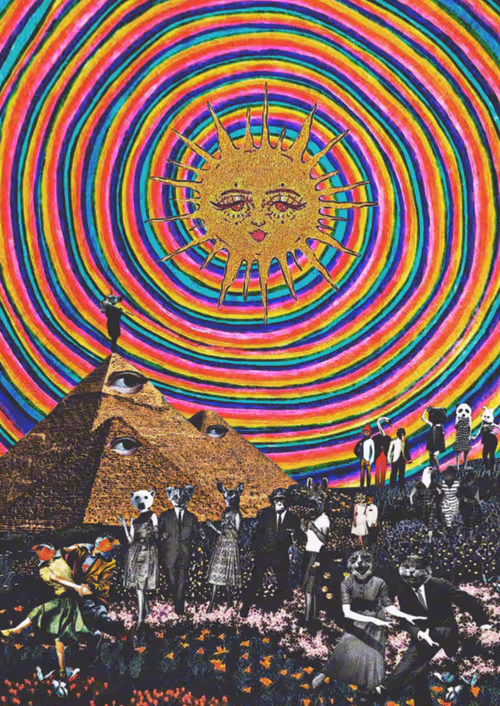 Item #74499761984407632273492080904881889225509605865350052277287898435687110672394 Media