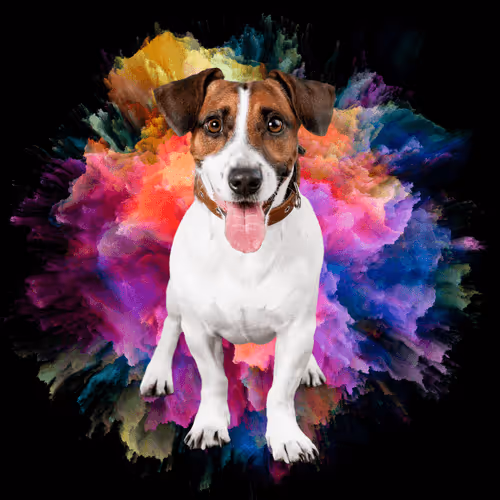 Item #56239973556945340979686789749535475438779907640352577271033901434933908340746 Media