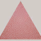 110993997408046207738845247501861895151211895368038788608492789476740095279105