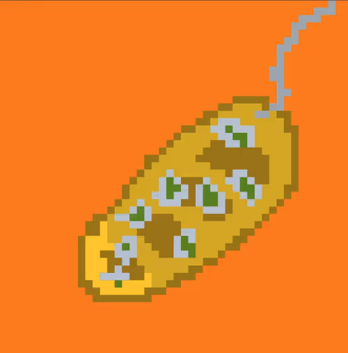 Item #10789780750075158030121318609398046644233193602119174916753531077071051161601 Media