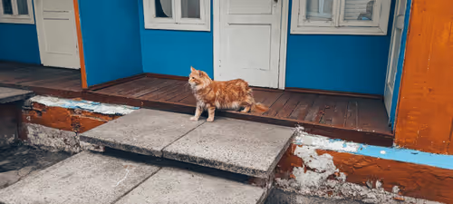 Item #111823987962158685130684126257338001931887706049197263774601980125159501070337 Media