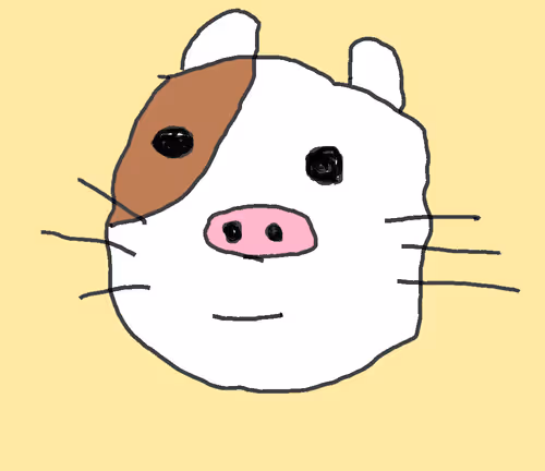 Untitled Collection #27517705