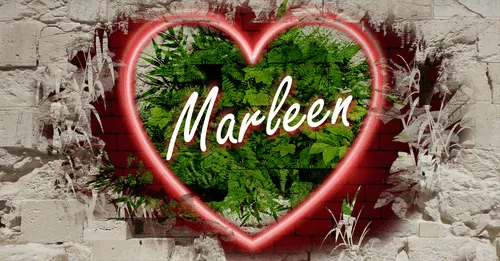 Item #68053287575525751288269231675427811746861684968250582901590729500174160232458 Media