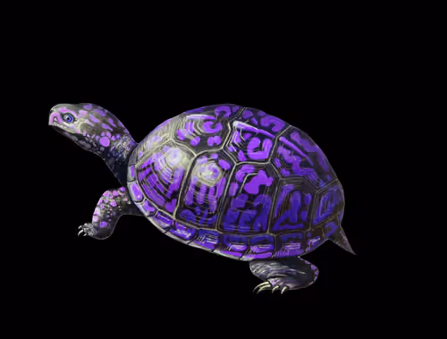 Item #46623402417646879308353596173636630178895824236728347706261571643544478679041 Media