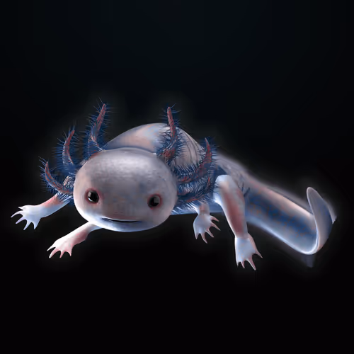 Item #39982110375740153587505644478940195082872270202471884348459982343712823836673 Media