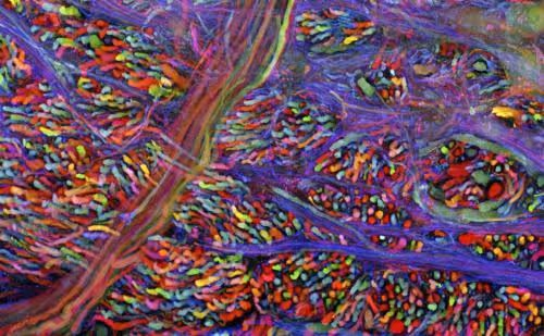 Item #94269245491509990734465210167466884321016156327322156678976395974598086098954 Media